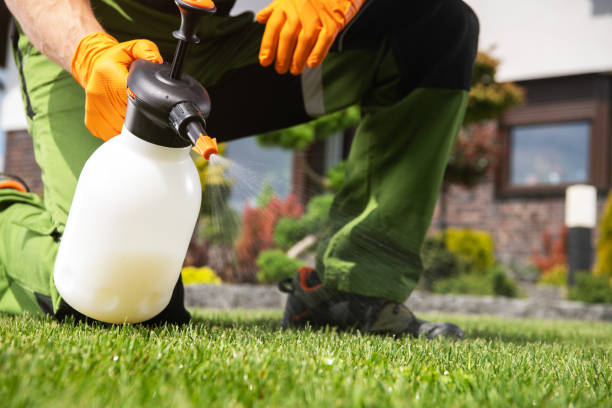 Best Emergency Pest Control  in Marks, MS