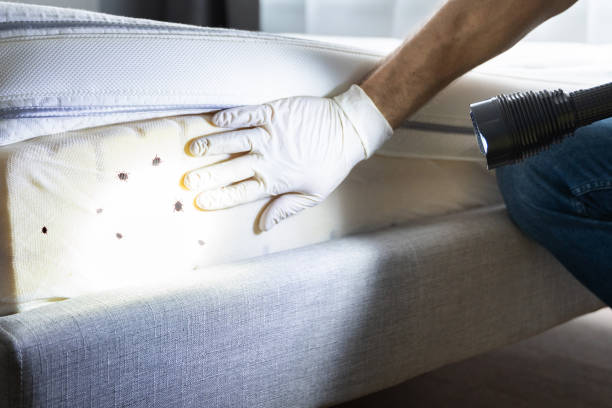 Best Cockroach Control Services  in Marks, MS
