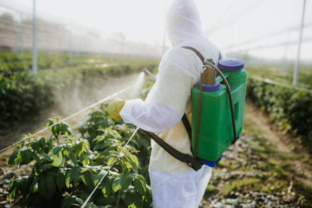 Best Best Pest Control Companies  in Marks, MS